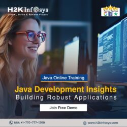 Java Development Insights