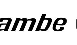 swambe-logo