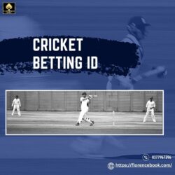 Cricket Match Series