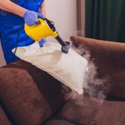 Carpet Cleaning Services Laverton