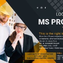 ms project