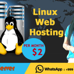 Linux-web-hosting-onliveserver
