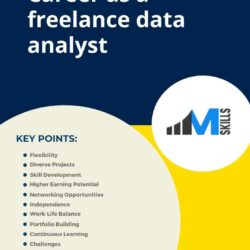 career as a freelance data analyst (1)