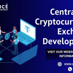 Centralized Cryptocurrency Exchange Development