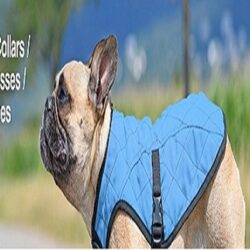 Collars_Harnesses_Leashes