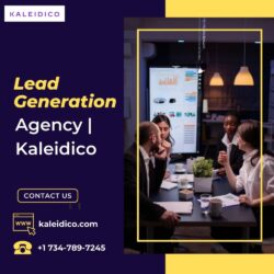 Proven Lead Generation Agency  Kaleidico-min