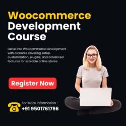 woocommerce development course (3) (1)