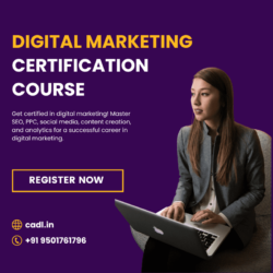 digital marketing certification course (1)