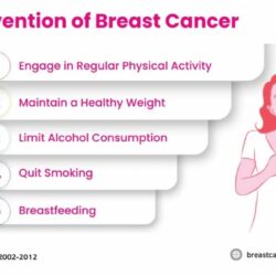 Breast-Cancer-Risk-Factors-And-Prevention-2-1024x671 (1)