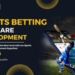 Sports betting article