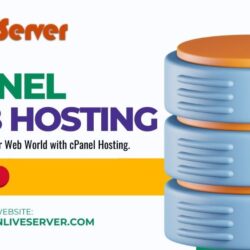 cPanel Web Hosting (22)