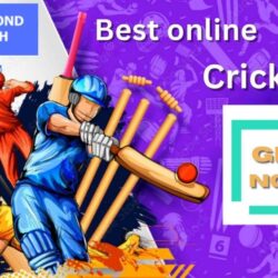 Diamond Exch Cricket Betting ID For IPL2024 (1)