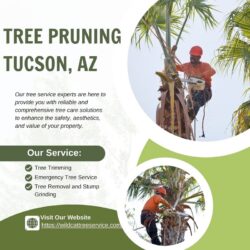 Tree Pruning Tucson, AZ