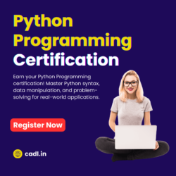 python programming certification (1)