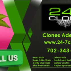 Clones Adelanto, CA