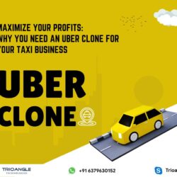 Maximize Your Profits: Why You Need an Uber Clone for Your Taxi Business