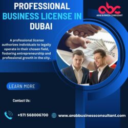 Professional Business license in Dubai