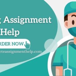Nursing Assignment Help (1)-min