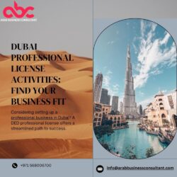Professional Licensing Activities in Dubai (1)