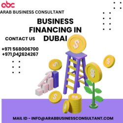Business financing in Dubai (1)