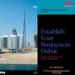 Commercial Trade Business in Dubai