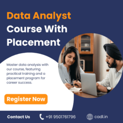 data analyst course with placement (1)
