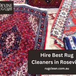 Hire Best Rug Cleaners in Roseville from Devine Rug Care (1)