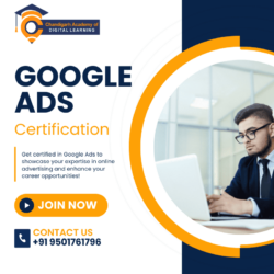 google ads certification (1)