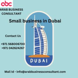SMALL BUSINESS IN DUBAI