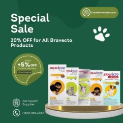 Special Sale 20% Off On Bravecto Products  (1)
