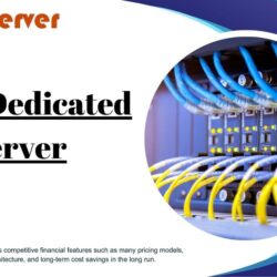 Unleash the Potential of Your Website with Onlive Server India Dedicated Server