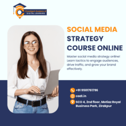 social media strategy course online (1)