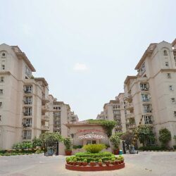 DLF Beverly Park Apartment for Rent in Gurgaon