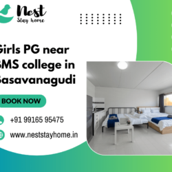 Girls PG near BMS college (1) (1)