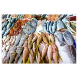 Canned Fish For Sale Canada (1)