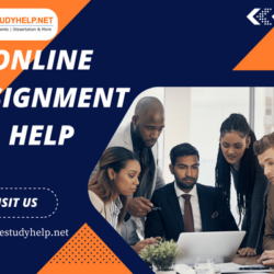 online-assignment-help(3)