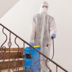 Offer for Pest Control Services In Maine