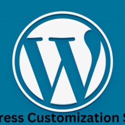 WordPress Customization Service