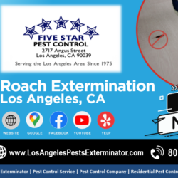 Roach Extermination Los Angeles, CA