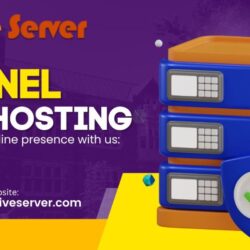cPanel Web Hosting (21)
