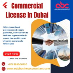 Commercial License In Dubai
