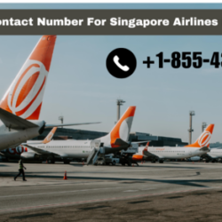 What_is_The_Contact_Number_For_Singapore_Airlines_Lost_and_Found_584x292_50