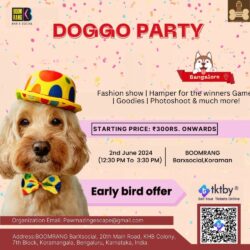 DOGGO PARTY (1)