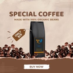 With Decafe Coffee Beans  Enjoy the taste, leave the jitters behind - Wake Me Up