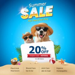 CVC--Summer-Sale-20% Off